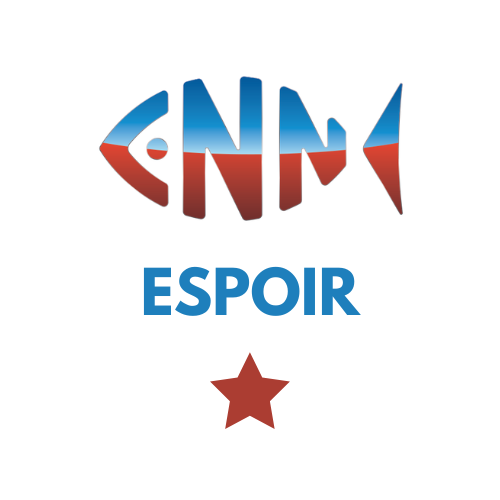 https://cnn-nyon.ch/wp-content/uploads/2026/06/Groupes-CNN-Natation-ESPOIR.png
