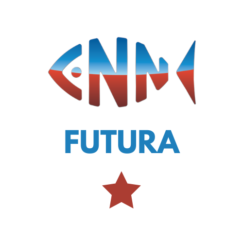 https://cnn-nyon.ch/wp-content/uploads/2026/06/Groupes-CNN-Natation-FUTURA.png